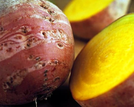 Betterave Golden Eye